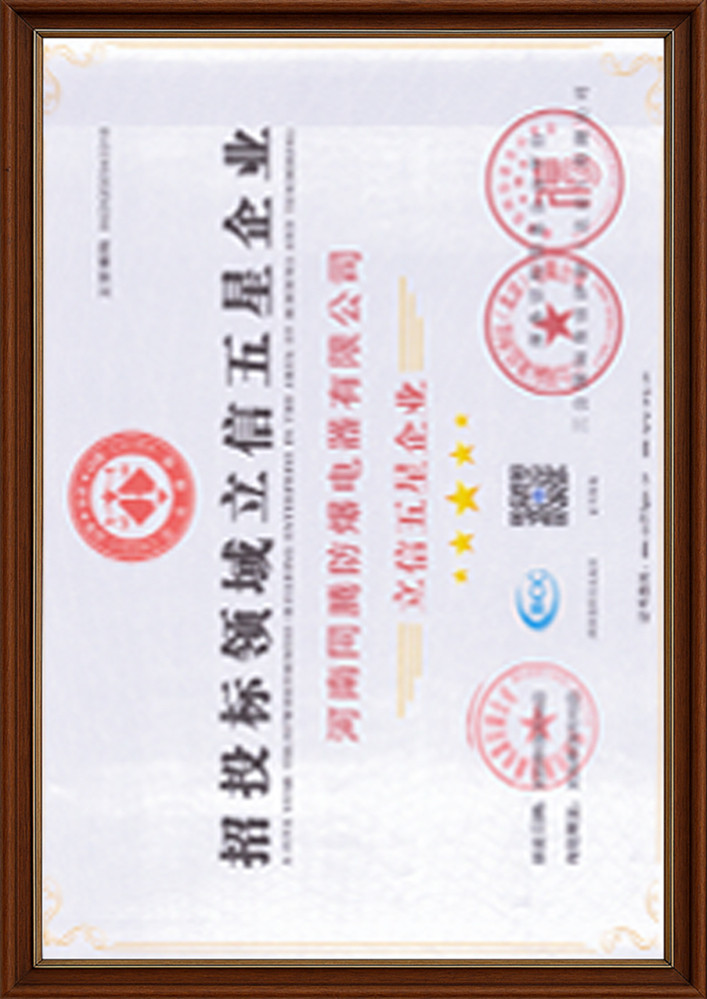 招投标领域立信五星企业